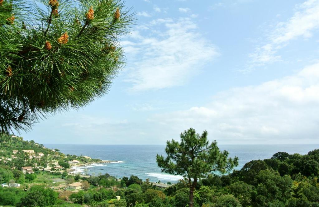 Hotel Residence San Pieru Tarcu Exterior photo