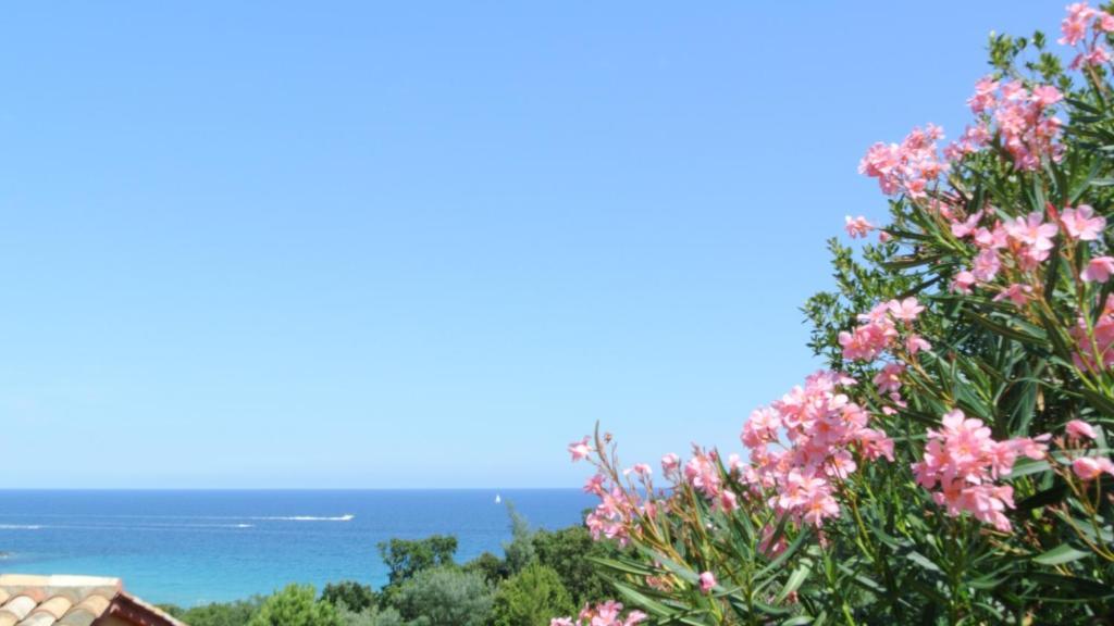 Hotel Residence San Pieru Tarcu Room photo